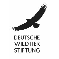 Deutsche Wildtier Stiftung
